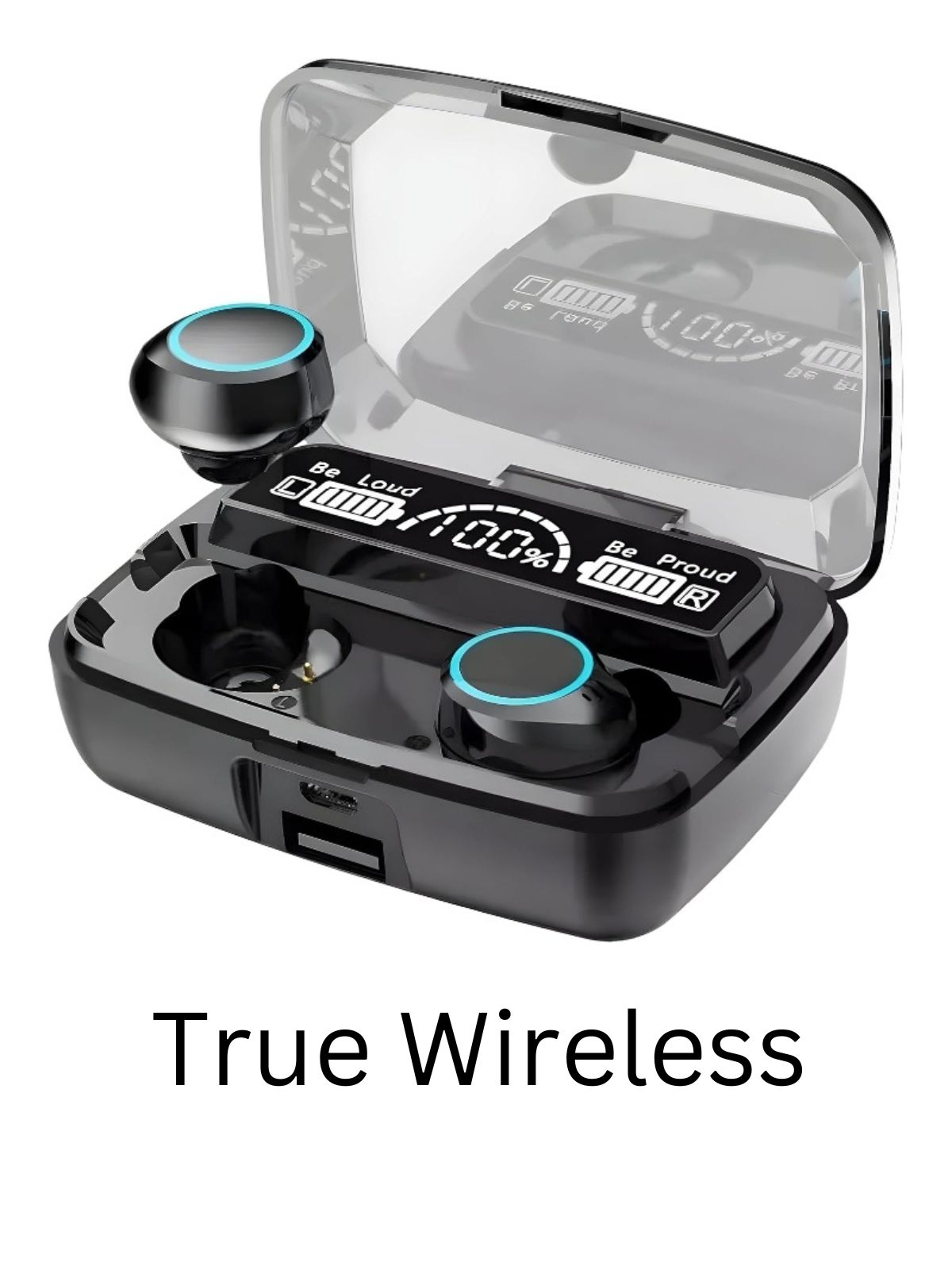 True Wireless