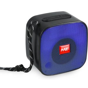 Wireless Outdoor Speaker