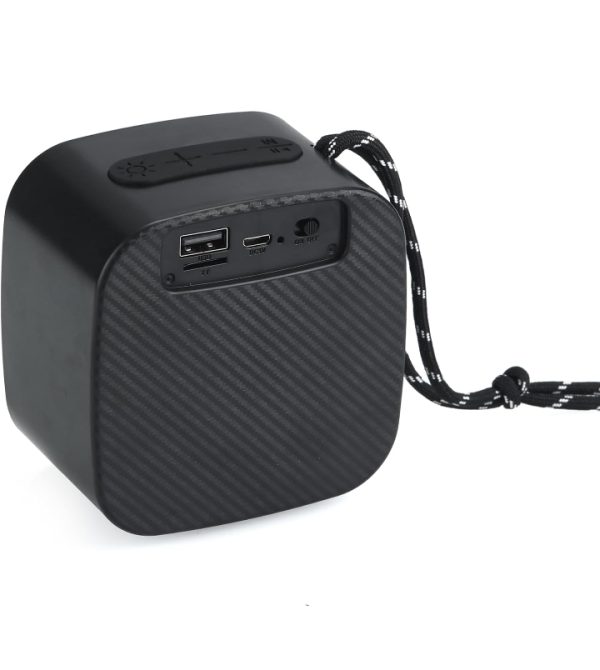 Wireless Outdoor Speaker
