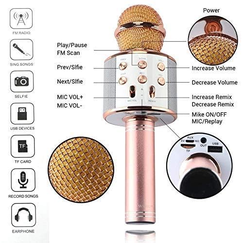 Mic with Speaker